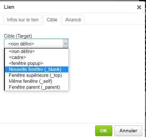 bouton-cible-du-lien.jpg
