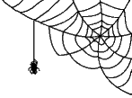 spider-right.gif